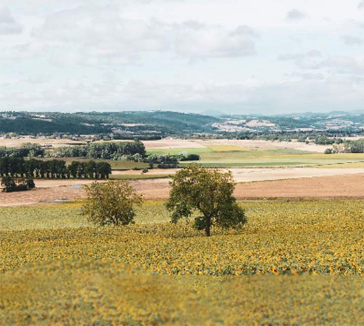 Créateur d’univers narratifs